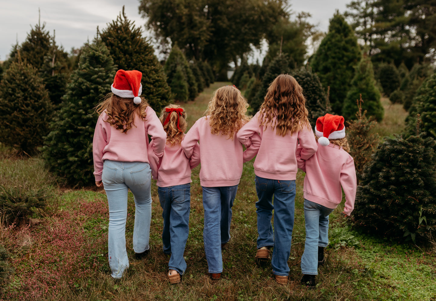 Merry Little Christmas Crew in Pink (For The Little Dreamers)