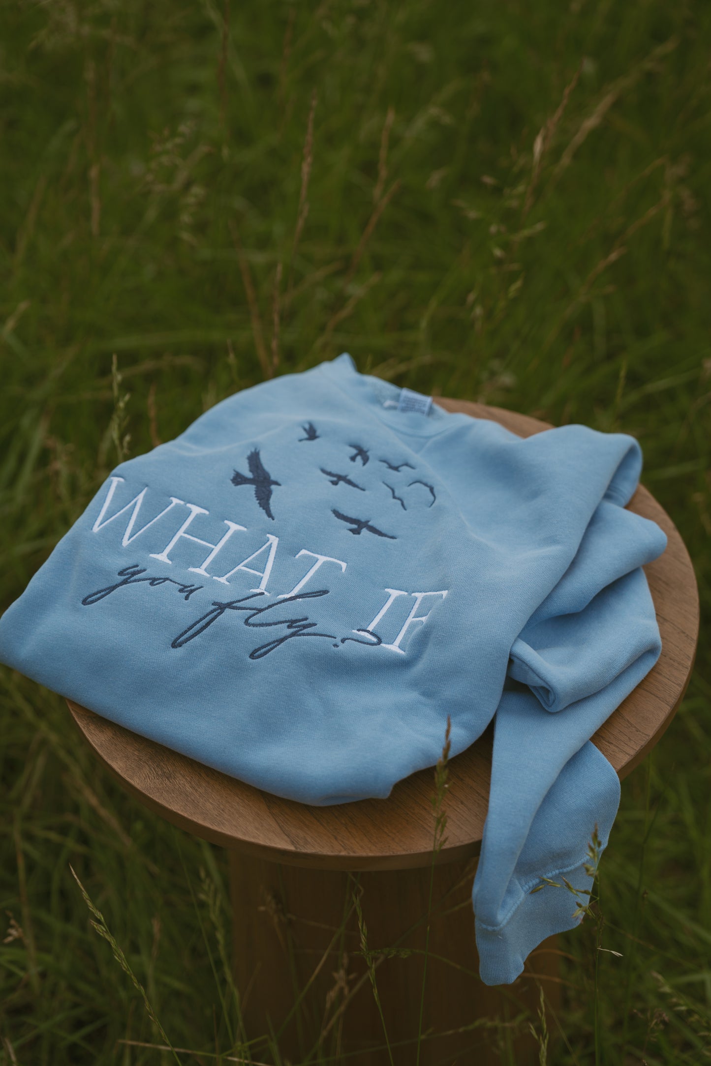 What If You Fly Crewneck - Light Blue